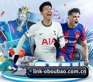 link-oboubao.com.cn的故事